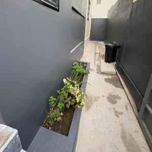 Archibelle Suites