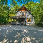 The Elysian Retreat chalet Pigeon Forge
