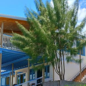 The Tree House Port Vila