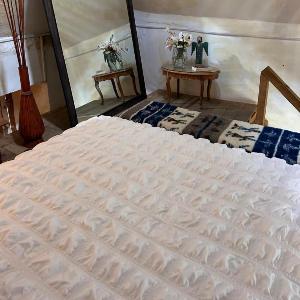 Lemon Tree Hostel