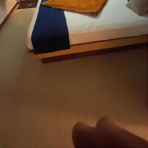 Pentoz Hotels Boutique Stay Near Botanical Garden Ooty