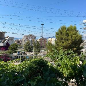 Dako Apartment City View