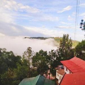 Cloudview Pines Cabin Resort Style Pvt Stay