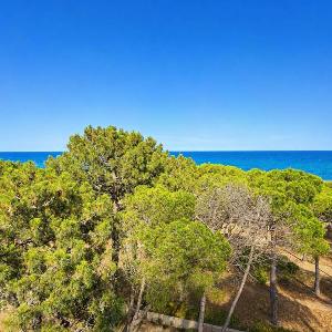 T2 charmant vue mer - 2 pers. - FR-1-388-263