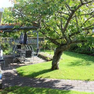 Popular Bird Area - Central Taupo