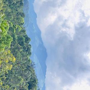 Misty Hill Land