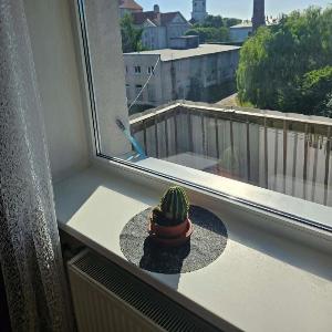 Barinu Street apartment