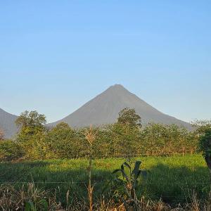 Divina Naturaleza