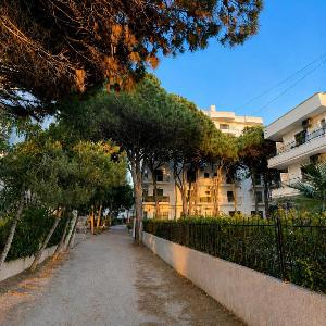 Golden Pine Retreat - Beachfront Apartment