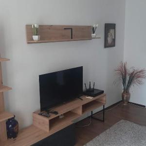Oasis 1