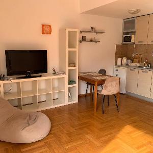 Attic with mountain view on Mainski Put