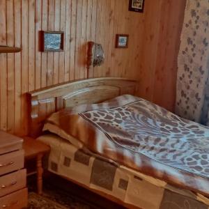 Буркут