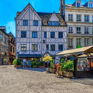 Bienvenue à LOlive votre écrin vert nature au cœur de Rouen