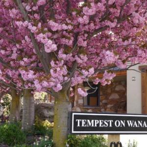 Tempest on Wanaka