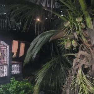 Rashlie apartment