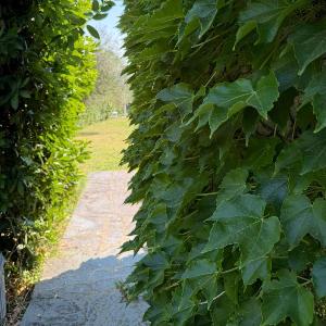 Appartamento in Villa con Piscina