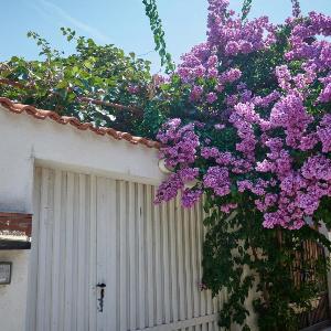 Holiday House Angelina