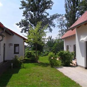 Gemütliches Ferienhaus mit Terrasse nahe dem Müritzsee in Rechlin