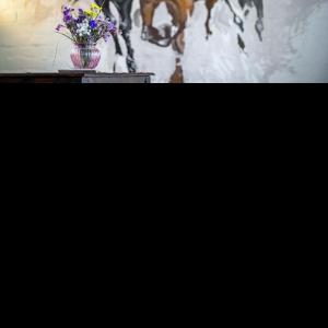 Horses
