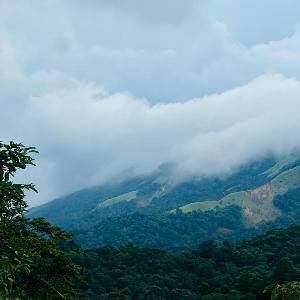 Coorg green valley Homestay and waterfalls