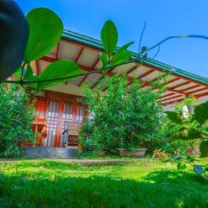 Dawn View Home Stay