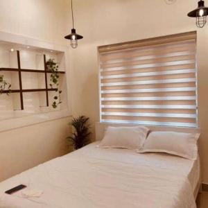 Laa home