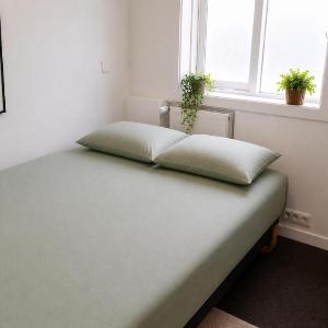 105 Guesthouse Hotel