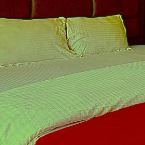 Hotel Ghumog Stay In Kasauli