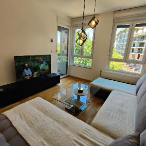Danube apartment