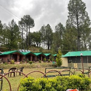 Redwood Camp- Luxury Camping Shimla