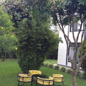 Adventure Arabica Cafe & Suite