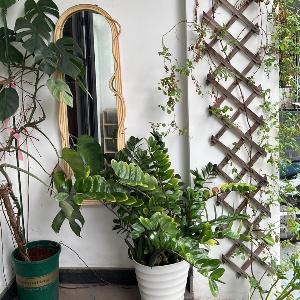 Mây Huế Homestay