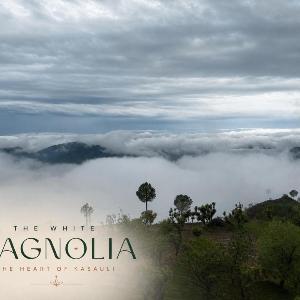 The White Magnolia Villa Kasauli