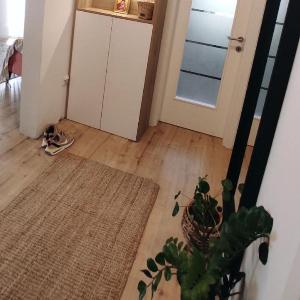 Cozy green apartment Ruzveltova