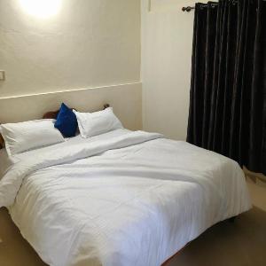 DREAM ESTATE STAy