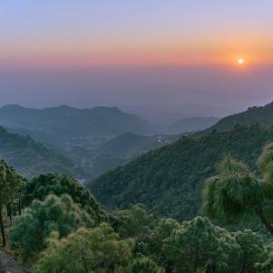 5Bedrooms Panorama Heights Kasauli