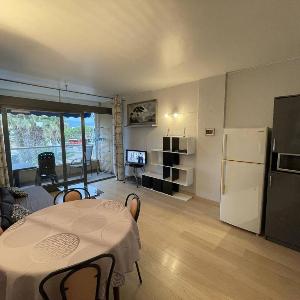 Appartement animaux OK vue mer - 4 pers. - FR-1-106-112