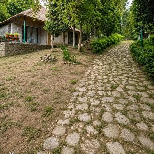 Estate Fernanda Woods