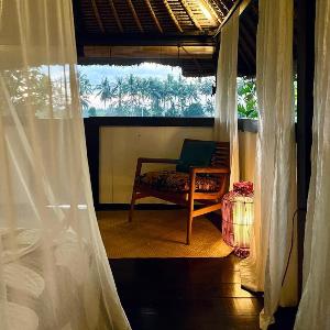 Bamboo T House