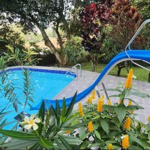 Apartamento cerca a Provenza by Medellin Travels