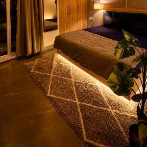 Casa Aurelia DLF phase 3 cybercity