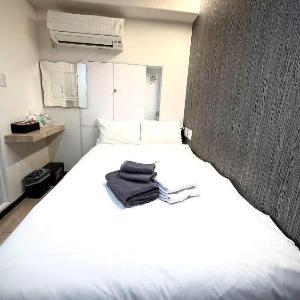 Petit Hotel Toujours Akihabara