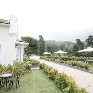 Grand Windsor Resort