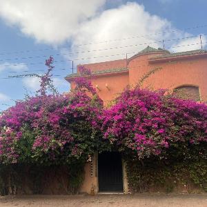 Beautiful home