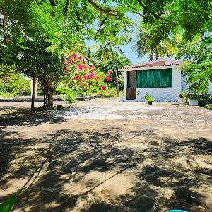 Simba Cottage Super Close to Diani Beach