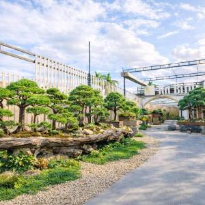 An Bình Garden
