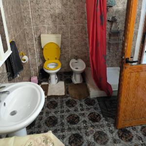 Welcome Hostel