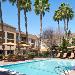 Hotels near San Jose Country Club - Courtyard Milpitas Silicon Valley