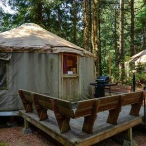 South Jetty Camping Resort Yurt 4