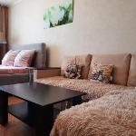 Apartment Na Shishkova 